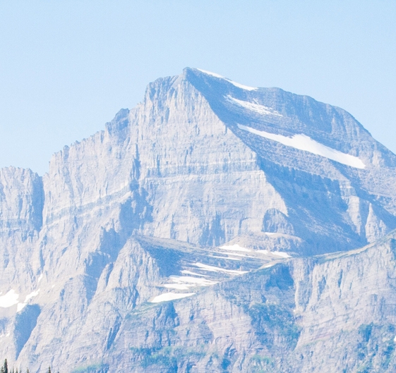 粉象生活邀请码