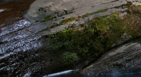 粉象生活代理招商