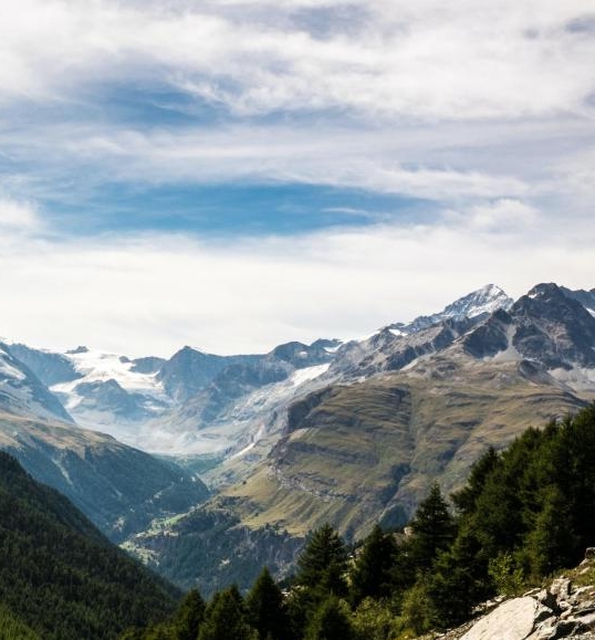粉象生活能赚到钱吗