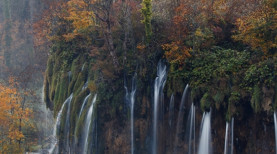 粉象生活可以发布产品吗