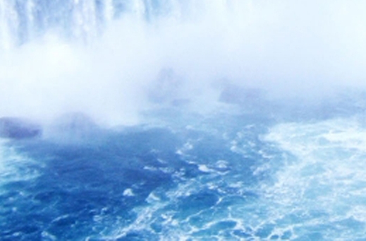 粉象生活粉丝怎么增加