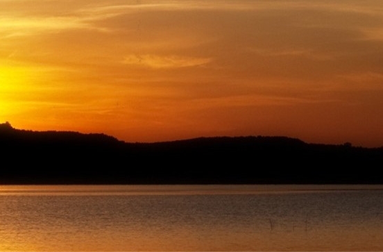 粉象生活推广文本