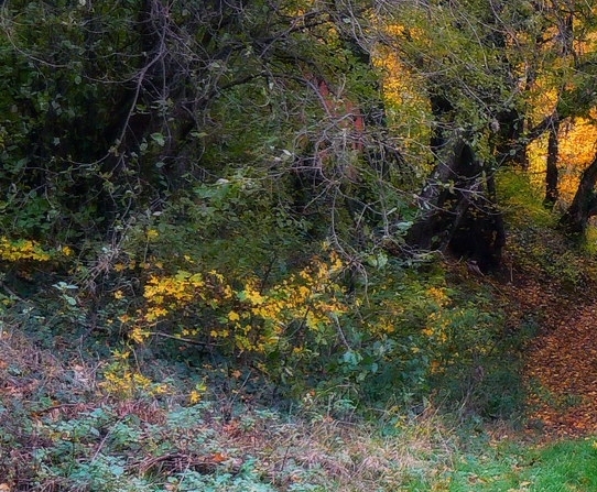 粉象生活是老板