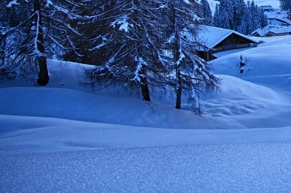 粉象生活邀请码