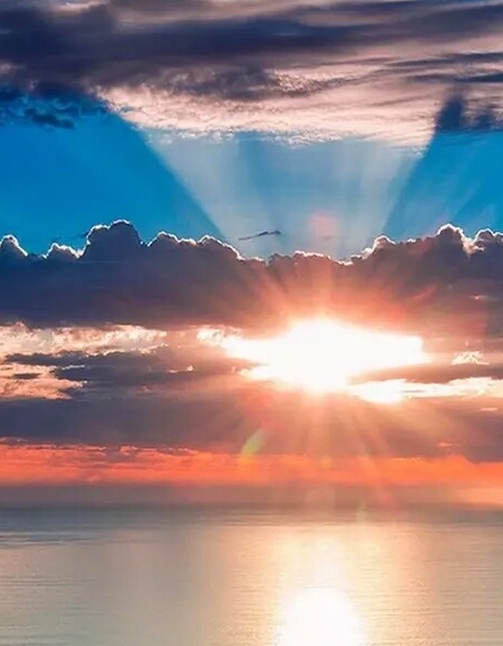 粉象生活佣金最高