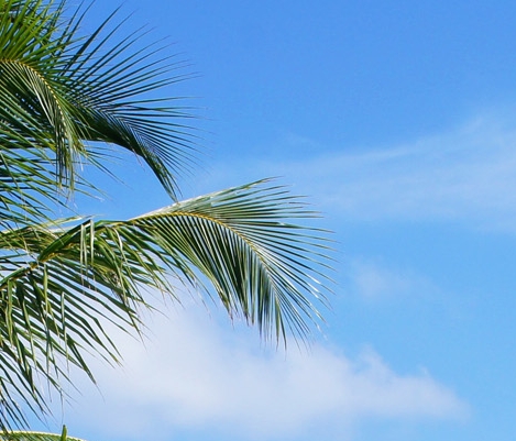 有没有必要开通粉象会员