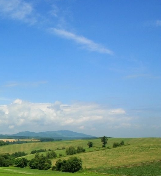 杭州粉象家科技有限公司