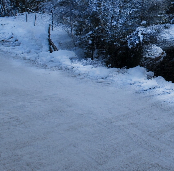 粉象生活官方注册
