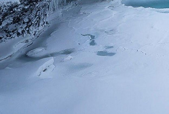 粉象生活邀请码