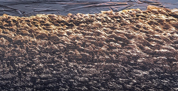 粉象生活怎么赚钱