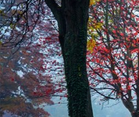 粉象生活收钱码