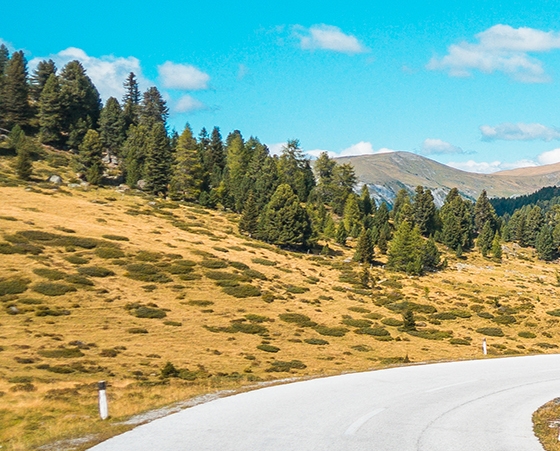 粉象生活下载app