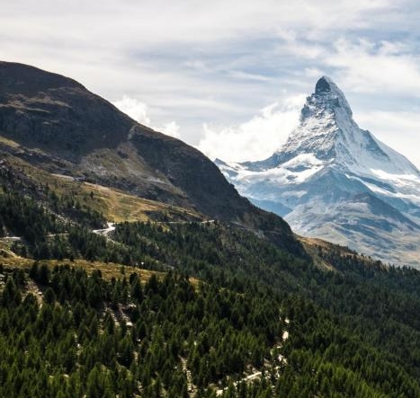 粉象生活的新用户有多少