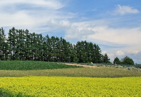 粉象生活多久才能开店