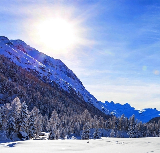 普象清理废粉仓