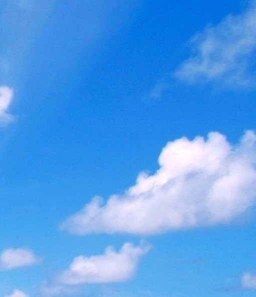 粉象生活下载app