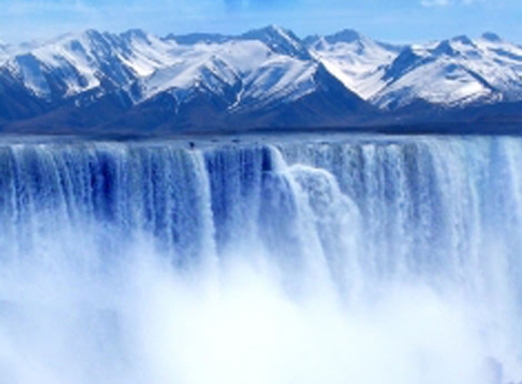 粉象生活页面图