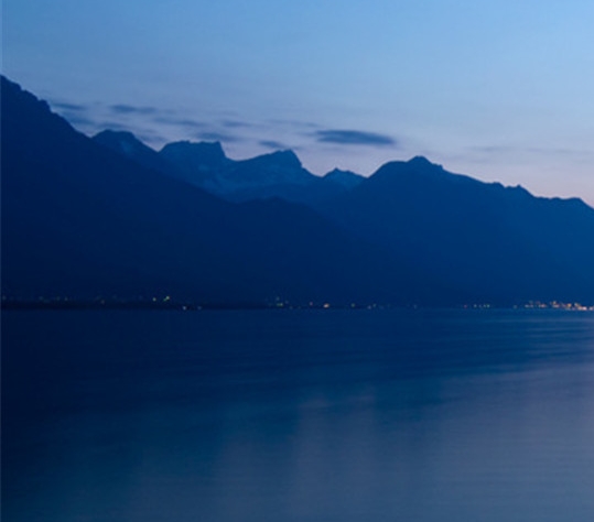 粉象生活投资前景