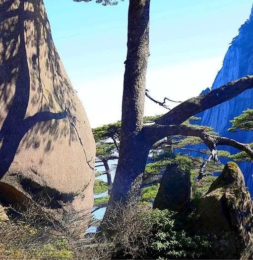 粉象生活怎么赚钱