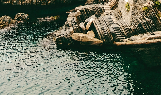 粉象生活官网专享邀请码