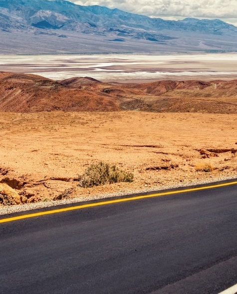 白熊和粉象哪个度数高