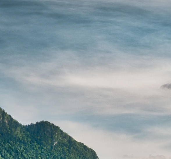 广东粉象生活使用教程