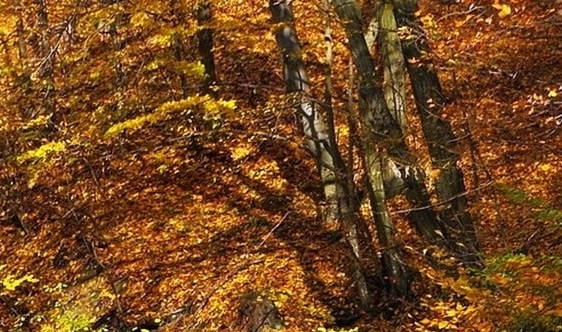 下载粉象生活能赚钱吗