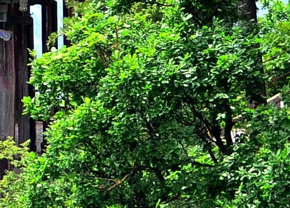 粉象生活的新用户怎么激活