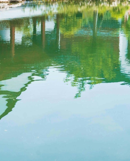 粉象生活app测试