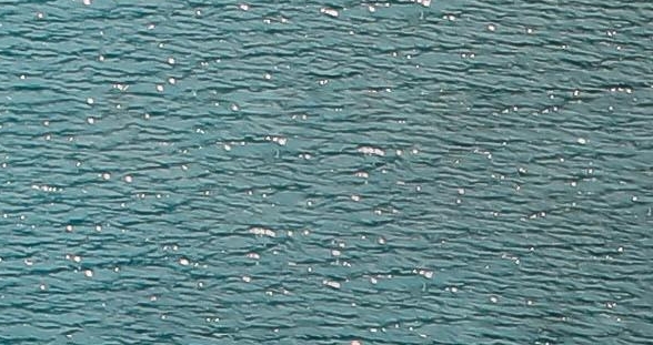 粉象生活开店成功