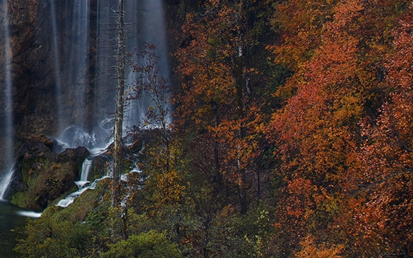 粉象生活开通淘宝店铺