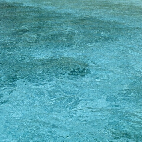 粉象生活创业平台