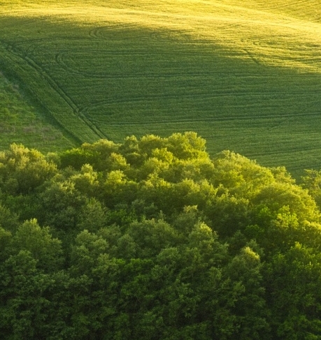 粉象生活在哪看我的邀请人