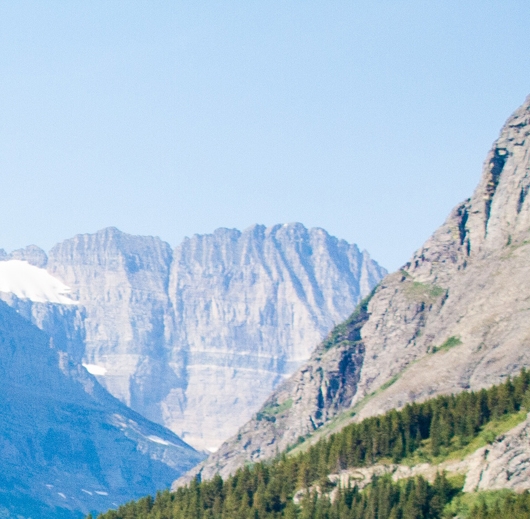 粉象生活没有邀请