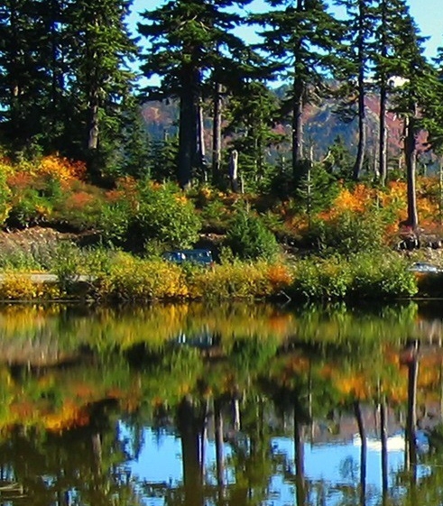 德州馅燕粉包装袋批发