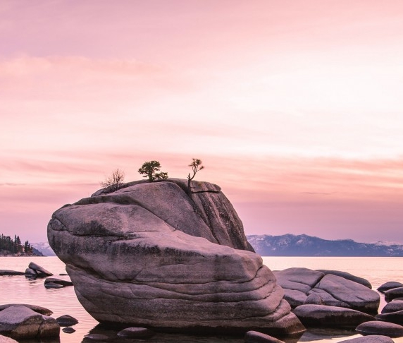 粉象生活怎么赚钱