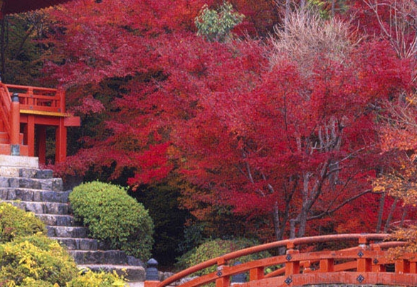 怎样退出粉象生活