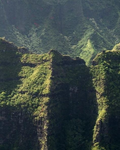 粉象生活怎么取消消息推送