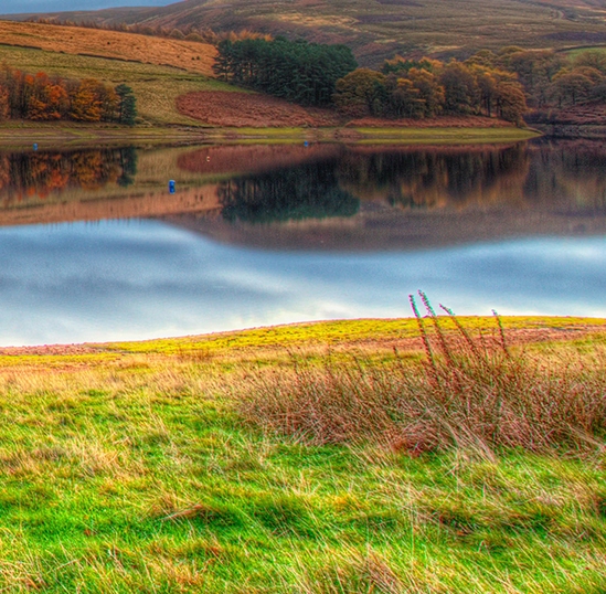 粉象生活怎么才能卖产品