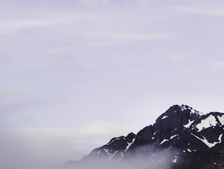 粉象生活邀请码