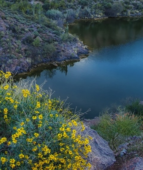 如何成为粉象生活