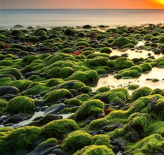 广东粉象生活如何使用