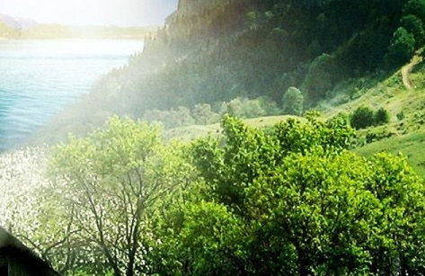 粉象生活京东怎么使用