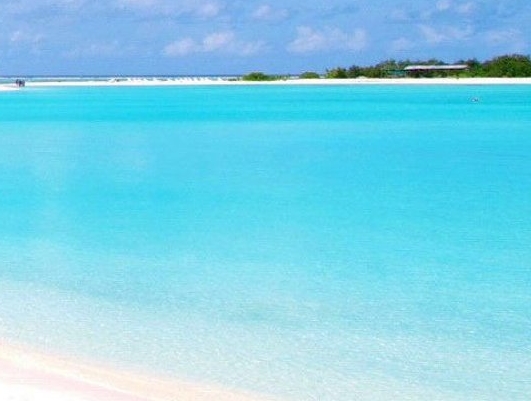 粉象生活邀请码