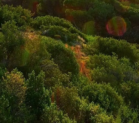 济宁粉象生活电话