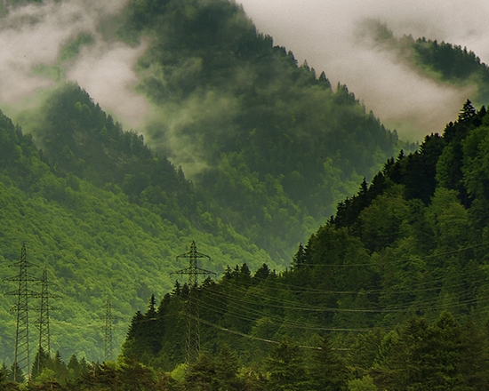 象背出发的日子