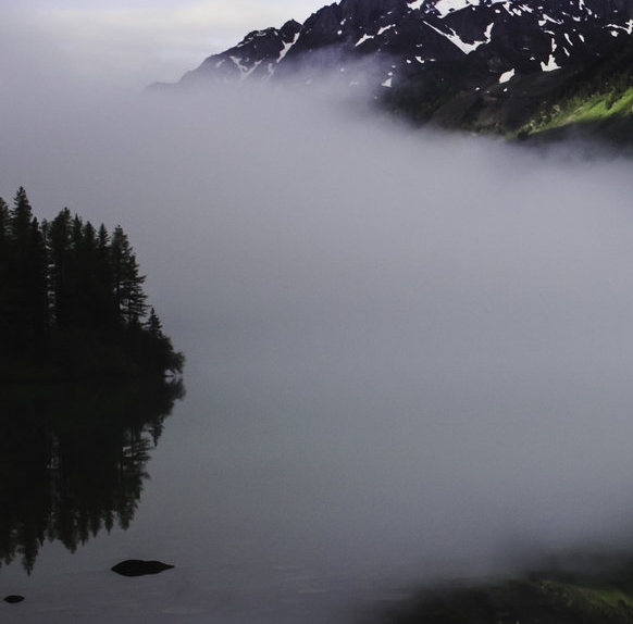粉象生活怎么快速推广