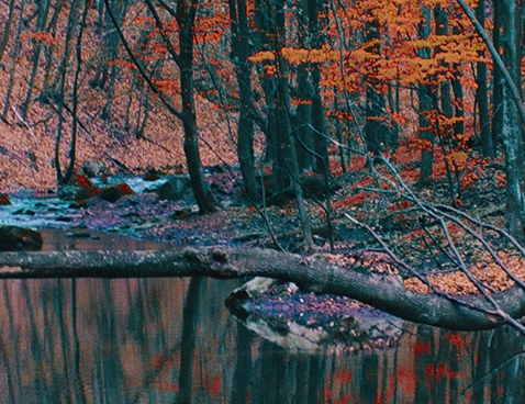 粉象生活 用户体验