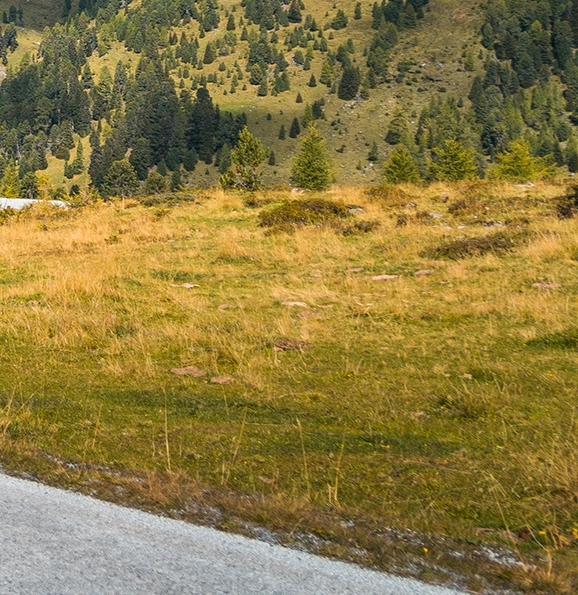 粉象生活怎么做引流