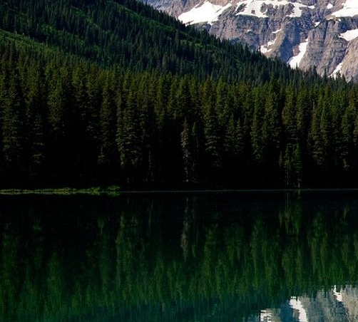 粉象生活怎么去推广